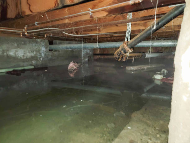 Sewage cleanup and water damage restoration in ID