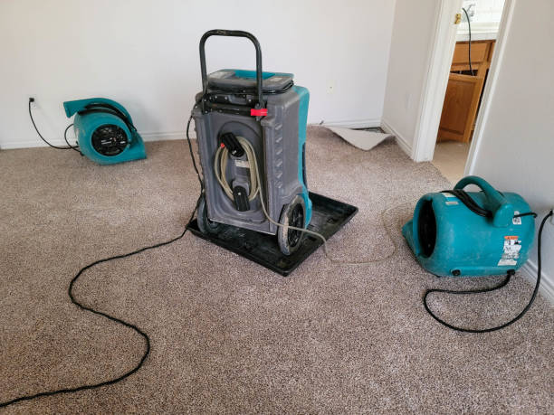 Best Residential water damage restoration  in Bellevue, ID