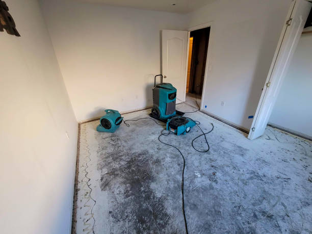 Best Carpet water damage restoration  in Bellevue, ID