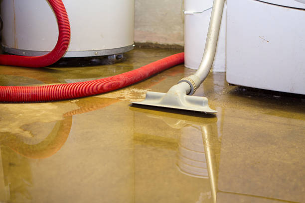 Best Water damage restoration near me  in Bellevue, ID