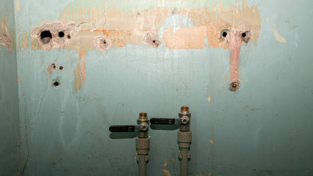 Best Residential water damage restoration  in Bellevue, ID