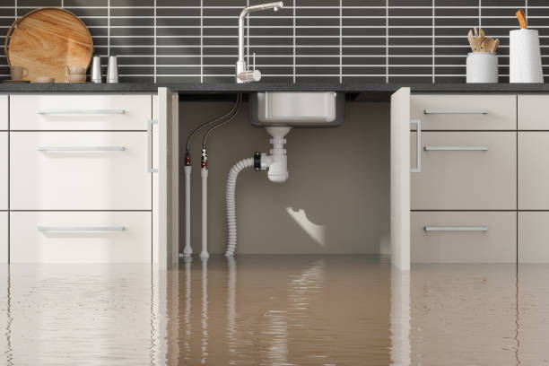 Sewage cleanup and water damage restoration in ID