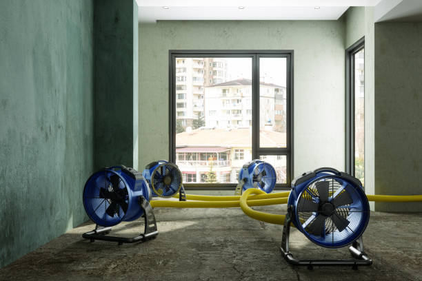 Best Mold removal after water damage  in Bellevue, ID