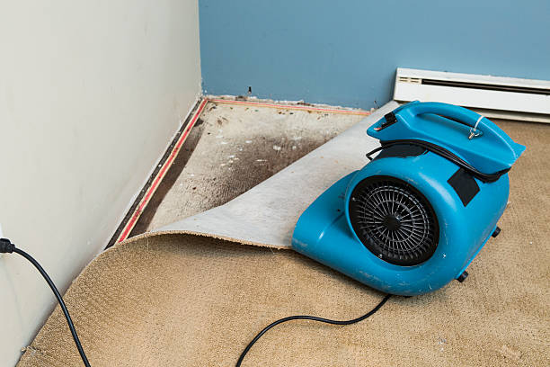 Best Emergency water damage restoration  in Bellevue, ID